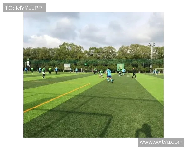 大连足球城的崛起与发展探讨足球文化如何塑造城市形象与未来潜力